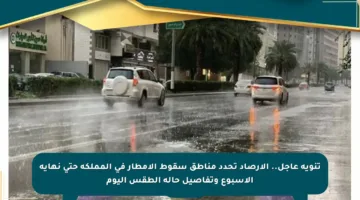تنويه عاجل.. الأرصاد تحدد مناطق سقوط الأمطار في المملكة حتى نهاية الأسبوع وتفاصيل حالة الطقس اليوم